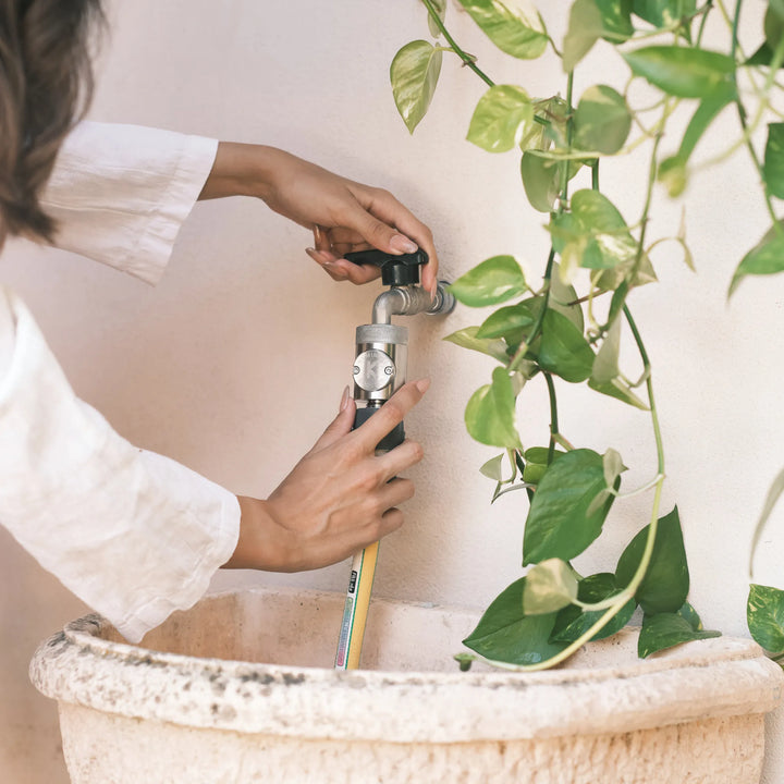 KYMINASI PLANTS + BOOSTER